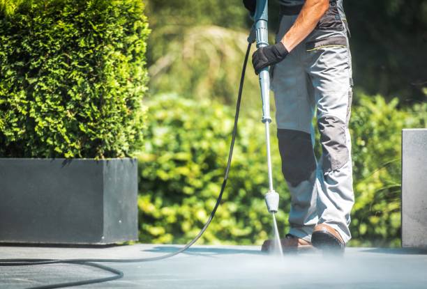 Professional Pressure Washing Services in Ringgold, LA