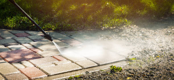 Best Fence Cleaning  in Ringgold, LA